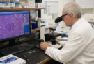 Latest Breakthroughs in Cancer Research
